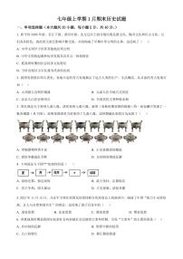 江西宜春市高安市2025-2026学年七年级上学期1月期末历史试题（试卷+解析）