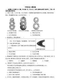 广东省东莞市2026年中考历史一模试卷附答案