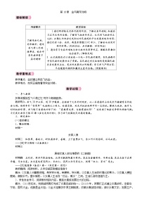 初中历史人教版（2024）七年级下册（2024）金与南宋对峙教案