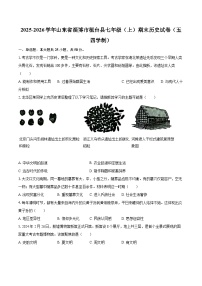 2025-2026学年山东省淄博市桓台县七年级（上）期末历史试卷（五四学制）-自定义类型