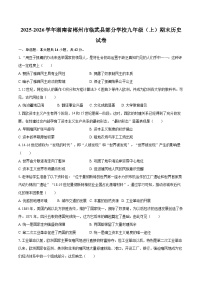 2025-2026学年湖南省郴州市临武县部分学校九年级（上）期末历史试卷-自定义类型