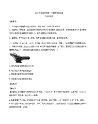 2026年河南省平顶山市鲁山县第七教研区一模历史试题（解析版）