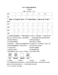湖南省娄底市2025_2026学年八年级上学期11月期中历史试题（文字版，含答案）