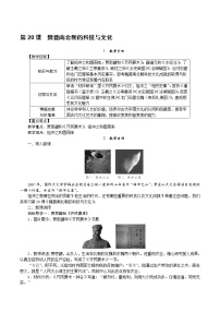 初中历史第二十课 魏晋南北朝的科技与文化教案设计