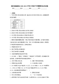 湖北省麻城市2020-2021学年八年级下学期期中历史试题（word版 含答案）