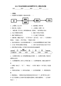 2021年山东省泰安市高新区中考三模历史试题（word版 含答案）