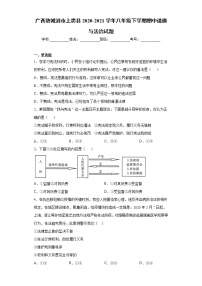 广西防城港市上思县2020-2021学年八年级下学期期中道德与法治试题（word版 含答案）