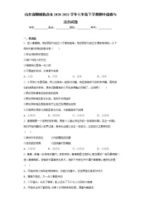 山东省聊城临清市2020-2021学年七年级下学期期中道德与法治试题（word版 含答案）