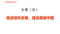 人教版九年级下册道德与法治课件 时政专题训练 4.专题（四） 推进绿色发展，建设美丽中国