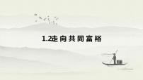初中政治思品人教部编版 (五四制)九年级上册走向共同富裕图文ppt课件