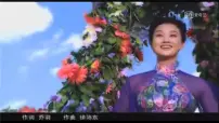 初中政治思品人教部编版九年级上册(道德与法治)促进民族团结示范课课件ppt