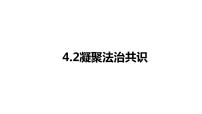人教部编版九年级上册（道德与法治）凝聚法治共识课前预习课件ppt