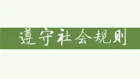 初中人教部编版第二单元 遵守社会规则综合与测试复习课件ppt