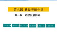 政治思品正视发展挑战说课ppt课件