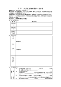 人教部编版九年级下册(道德与法治)开放互动的世界导学案