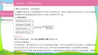 部编版中考道德与法治复习九上第3单元文明与家园优质课件PPT