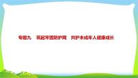 中考政治复习专题专题九筑起牢固防护网共护未成年人健康成长优质课件PPT