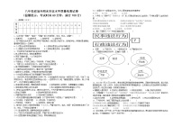 期末综合训练卷  2021-2022学年部编版道德与法治八年级上册  (2)（word版 含答案）