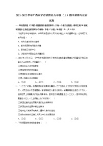 2021-2022学年广西南宁市宾阳县九年级（上）期中道德与法治试卷   解析版