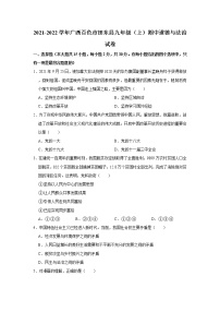 2021-2022学年广西百色市田东县九年级（上）期中道德与法治试卷   解析版