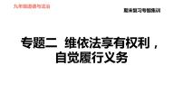 人教版八年级下册道德与法治 期末复习专题 习题课件