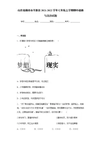 山东省德州市平原县2021-2022学年七年级上学期期中道德与法治试题(word版 含答案)