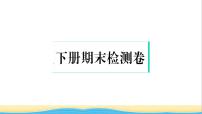 九年级道德与法治下学期期末检测卷作业课件新人教版