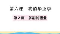 初中政治 (道德与法治)人教部编版九年级下册多彩的职业作业课件ppt