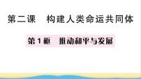 政治 (道德与法治)九年级下册推动和平与发展作业ppt课件