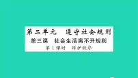 初中政治 (道德与法治)人教部编版八年级上册维护秩序习题课件ppt