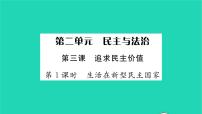 政治 (道德与法治)九年级上册生活在新型民主国家习题课件ppt