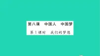 政治 (道德与法治)九年级上册我们的梦想习题ppt课件