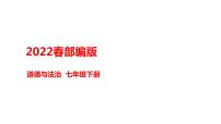 初中政治 (道德与法治)人教部编版七年级下册法律为我们护航授课ppt课件