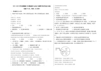 期中复习综合训练   2021-2022学年部编版八年级道德与法治下册(word版含答案)