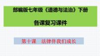 第十课法律伴我们成长复习课件2021-2022年部编版七年级道德与法治下册