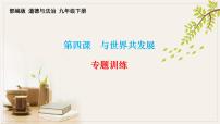 第四课与世界共发展习题课件2021-2022学年部编版道德与法治九年级下册
