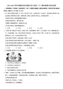 2021-2022学年安徽省安庆市潜山县七年级（下）期末道德与法治试卷  word，解析版