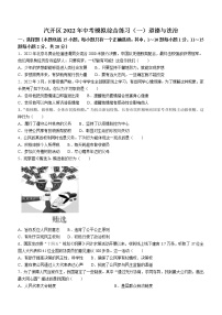 2022年吉林省长春汽车经济开发区中考一模道德与法治试题(word版含答案)