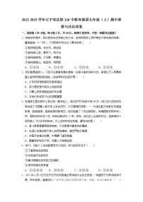 辽宁省沈阳市第一二六中学教育集团 2022-2023学年七年级上学期期中考试道德与法治试卷（含答案）