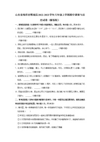 山东省菏泽市鄄城县2022-2023学年八年级上学期期中道德与法治试卷 (含答案)