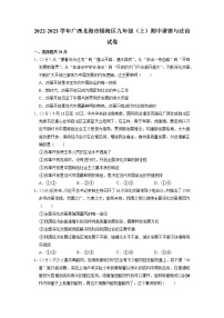 广西北海市银海区2022-2023学年九年级上学期期中考试道德与法治试卷