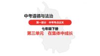 中考道德与法治总复习七年级下册第三单元课件