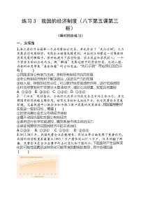2023年中考道德与法治一轮复习专题练习03 我国的经济制度