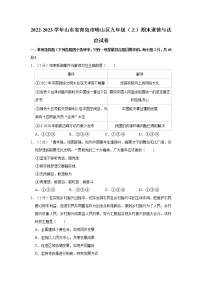 2022-2023学年山东省青岛市崂山区九年级（上）期末道德与法治试卷