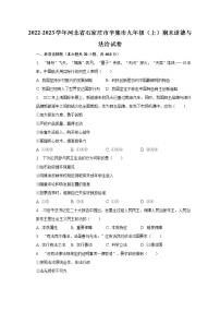 2022-2023学年河北省石家庄市辛集市九年级（上）期末道德与法治试卷（含解析）