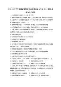 2022-2023学年安徽省蚌埠市怀远县城关镇九年级（上）期末道德与法治试卷（含解析）