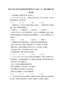 2022-2023学年山东省青岛市胶州市八年级(下)期中道德与法治试卷(含解析)