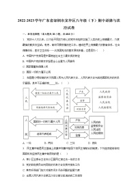 2022-2023学年广东省深圳市龙华区八年级（下）期中道德与法治试卷（含解析）