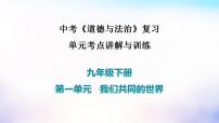 中考道德与法治一轮复习考点讲解与训练课件 我们共同的世界（含答案）