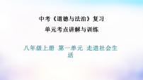 中考道德与法治一轮复习考点讲解与训练课件 走进社会生活（含答案）